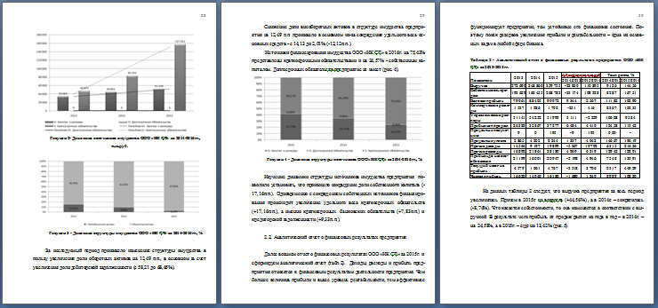 finansovyj-analiz-v-optimizacii-struktury-kapitala-organizacii--prakticheskaya-chast-na-primere-ooo-ik- 2